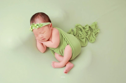 枝江陕西助孕公司名单揭晓助孕行业新动向